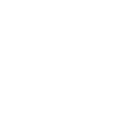 Home Icon