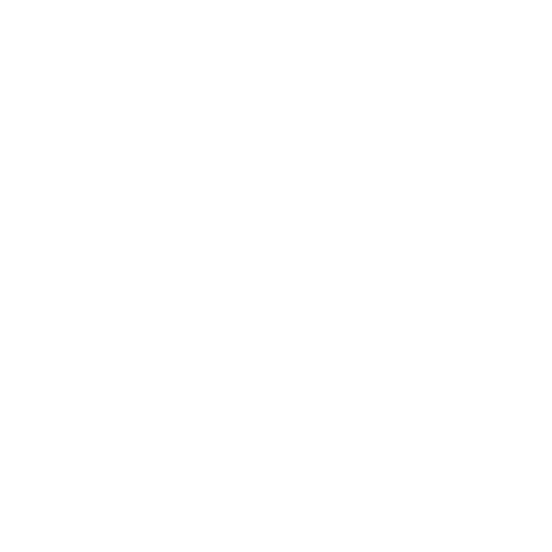 Home Icon