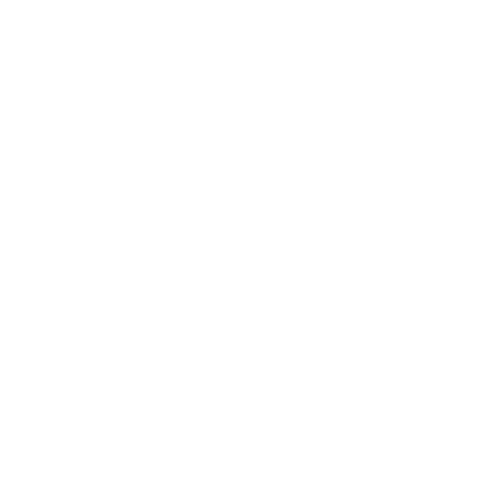 Home Icon